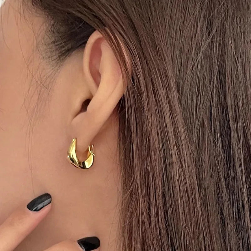 Sterling Silver Earrings for Women